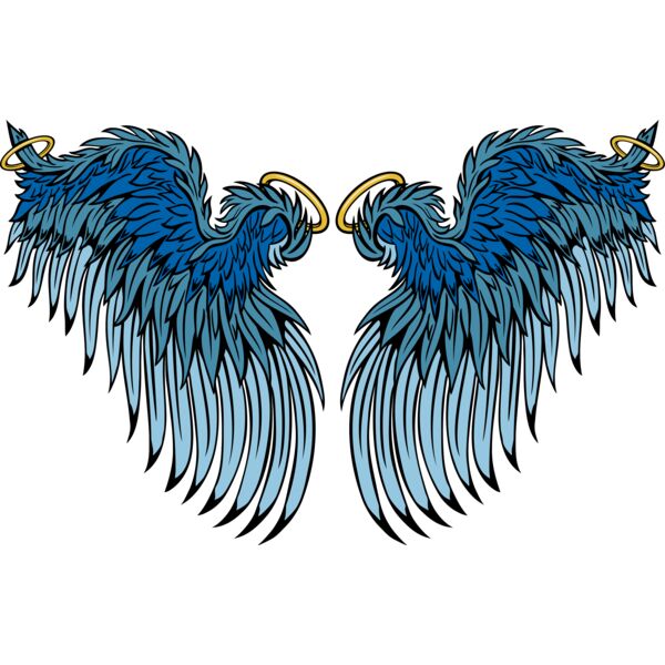 ES3wing25clr Thumbnail