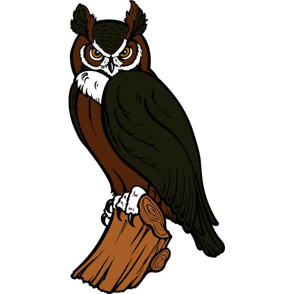 es2owl002clr Thumbnail