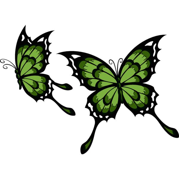 es2butterfly002clr Thumbnail