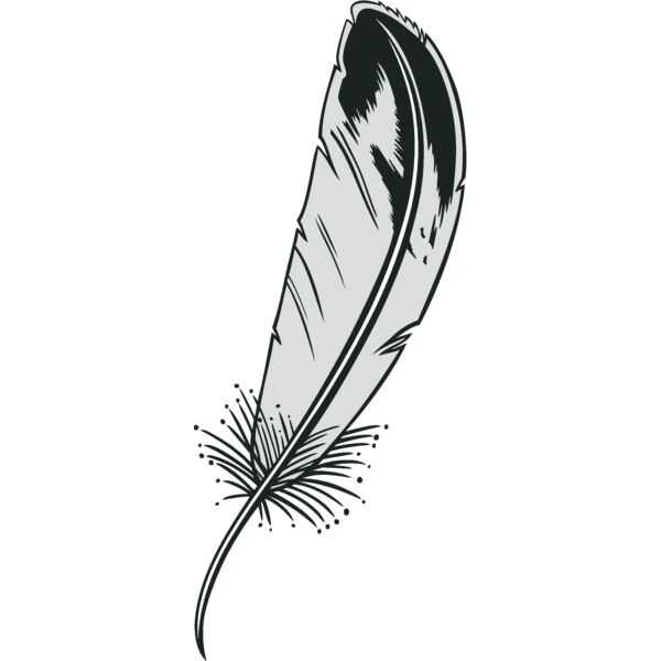 feathers03 Thumbnail