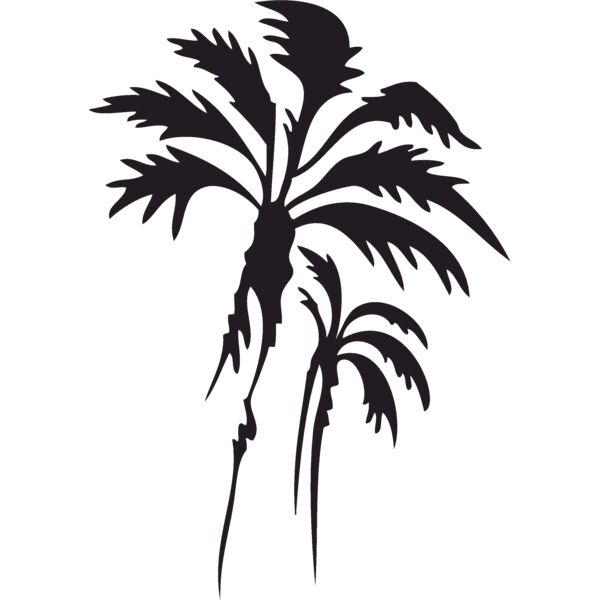 palmtrees02 Thumbnail