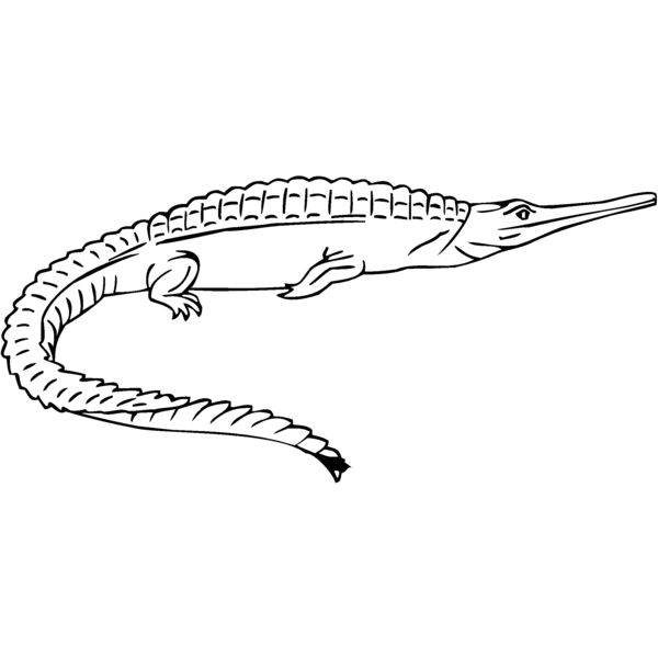 teleosaurus Thumbnail