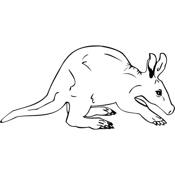 aardvark Thumbnail