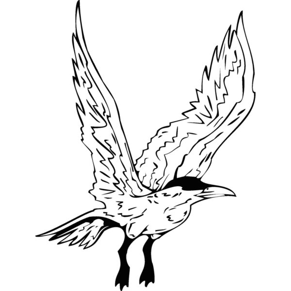 bird4 Thumbnail