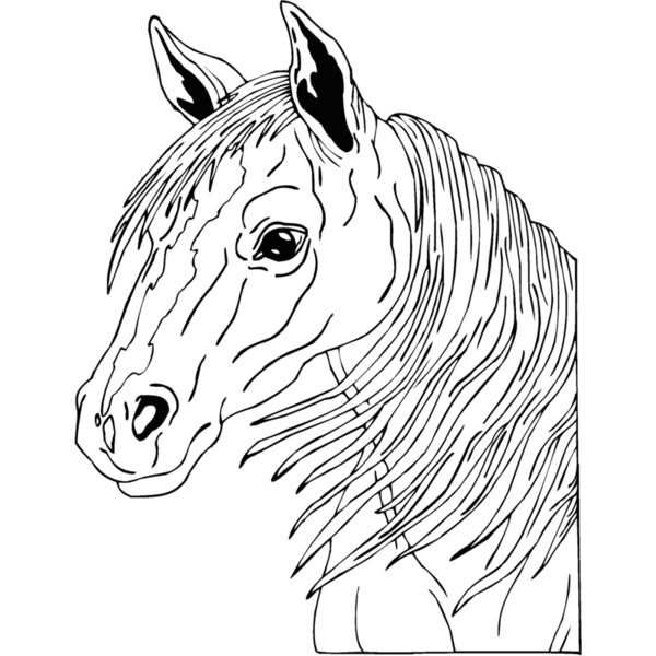 horsehead04 Thumbnail