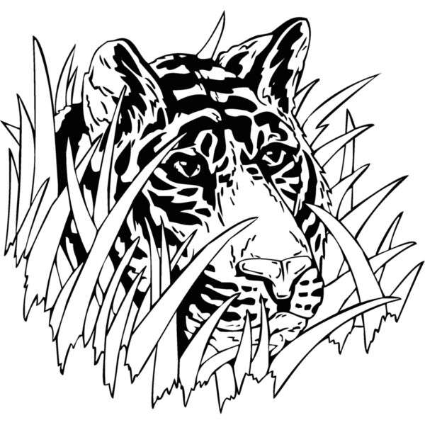 tigerhead02 Thumbnail