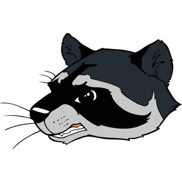 racoonhd04 Thumbnail