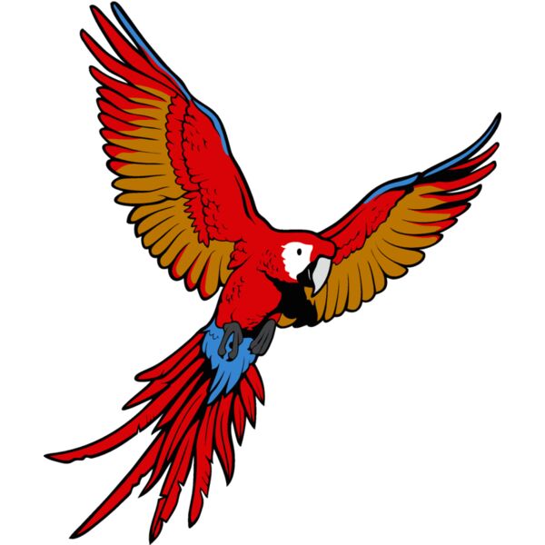 es3parrot01clr Thumbnail