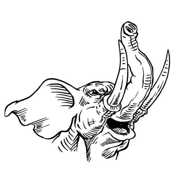 elephanthead01 Thumbnail