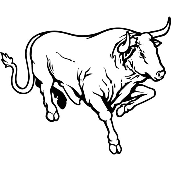 bull07v4bw Thumbnail
