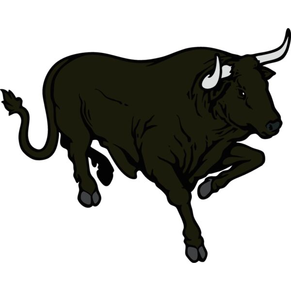 bull07v4clr Thumbnail