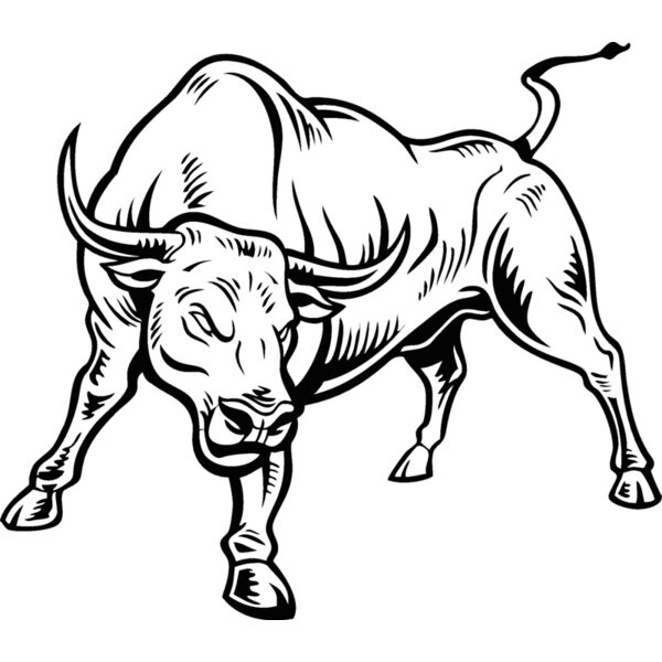 bull11v4bw Thumbnail