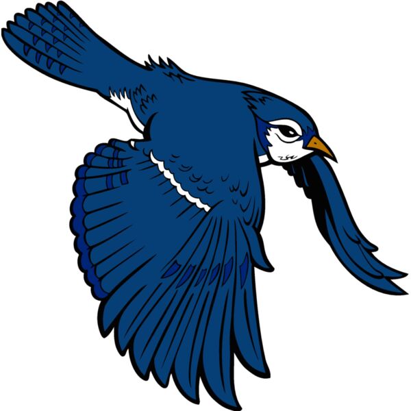 bluejay9 Thumbnail