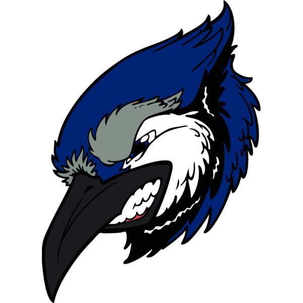 bluejay21 Thumbnail