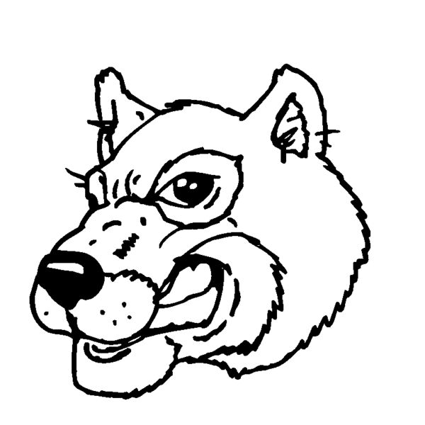 wfahd01  2  Thumbnail