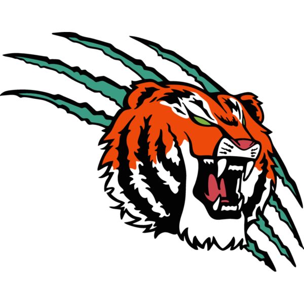 tiger07v4clr Thumbnail