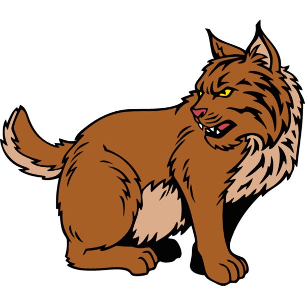 wildcatjk14 Thumbnail