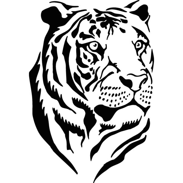 asiantiger Thumbnail