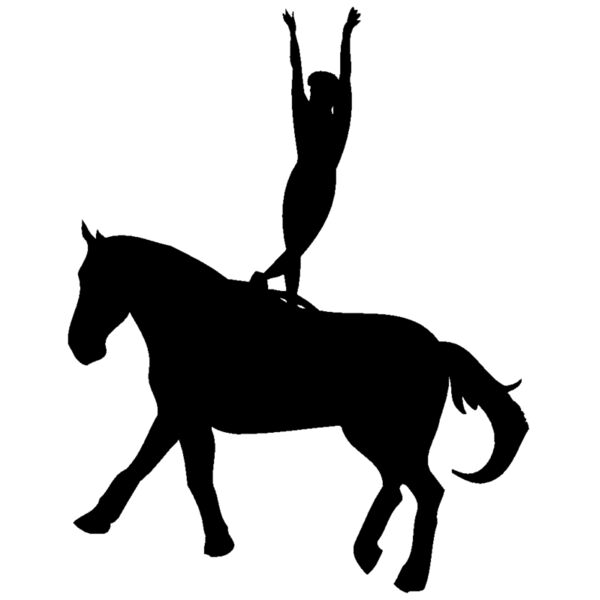 circus horse Thumbnail