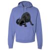Unisex 7.2 oz., 80/20 Pullover Hood Sweatshirt Thumbnail