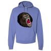 Unisex 7.2 oz., 80/20 Pullover Hood Sweatshirt Thumbnail