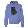 Unisex 7.2 oz., 80/20 Pullover Hood Sweatshirt Thumbnail